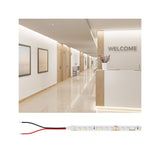 Pro Strip LED Strip Gold P75 930 10m 55W 750lm/m 96 LEDs/m 3000K