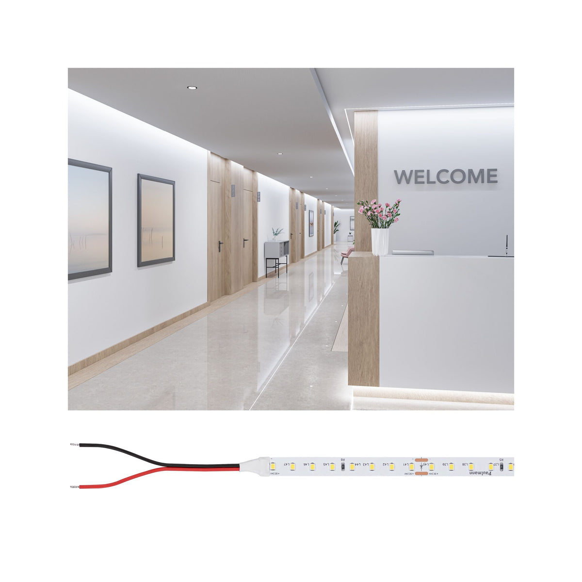 Pro Strip LED Strip Gold P75 965 10m 55W 790lm/m 96 LEDs/m 6500K