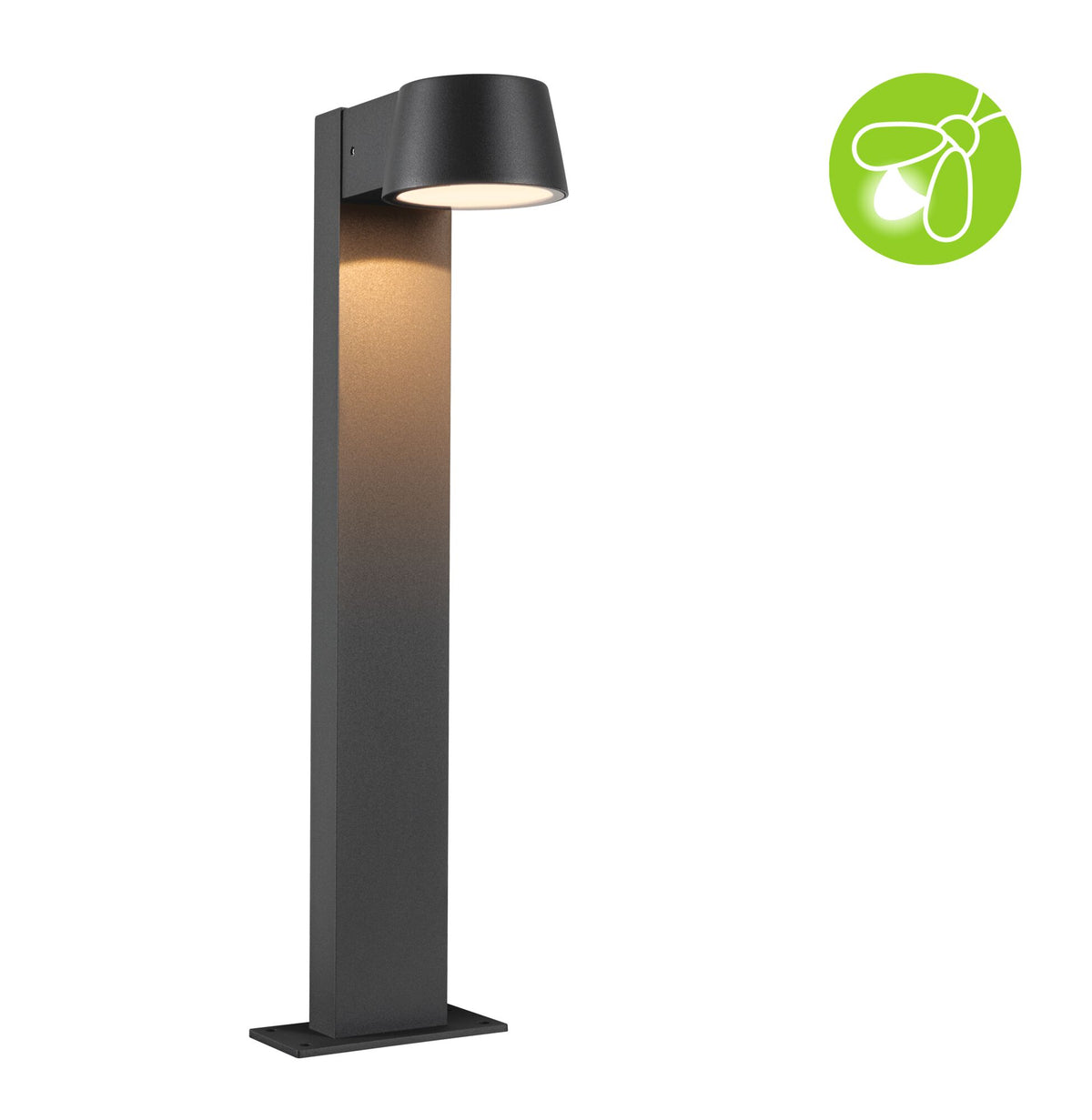 LED Pollerleuchte Capea insektenfreundlich IP44 500mm 2200K 6W 450lm 230V 98 Grad Anthrazit Aluminium
